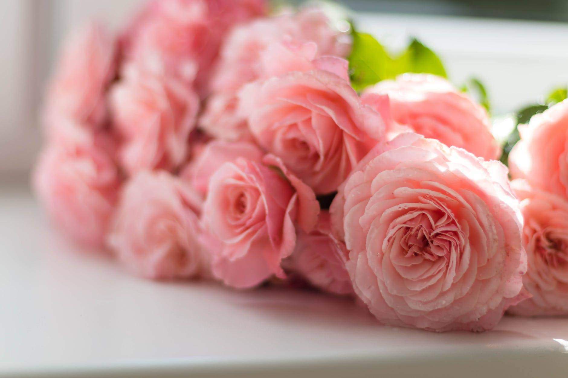 5 Amazing Flowers to Make Anyone’s Day
