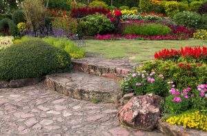 Landscaping Tips for Beginners