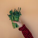 Crocolini in 2026: Your Definitive Guide to This Trending Hybrid Vegetable
