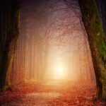 digital marketing career path