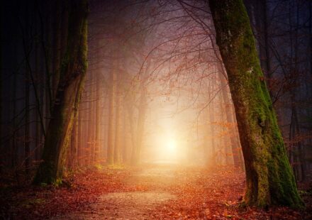 digital marketing career path