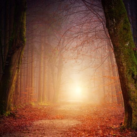 digital marketing career path
