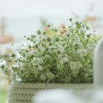 relaxing restaurant dining