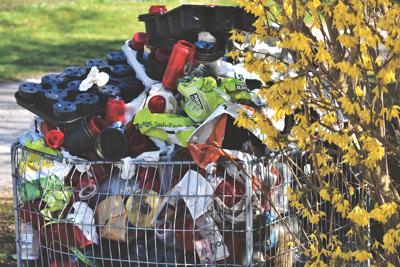 Benefits Hiring Skip Bin Small Projects: Your 2026 Guide to