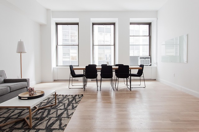 A minimalist living room featuring large windows and a prominent indoor plant